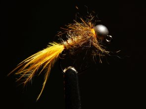 Yellow Tail Troutseeker