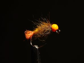 Bad Boy Orange