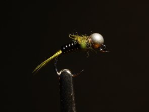 Gatorback Pheasant Tail