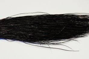 The Happy Javelina Peccary