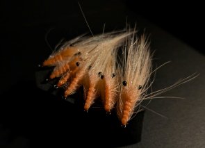 Pattegrisen