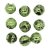 Semperfli Tungsten Slotted Beads 4,6 mm