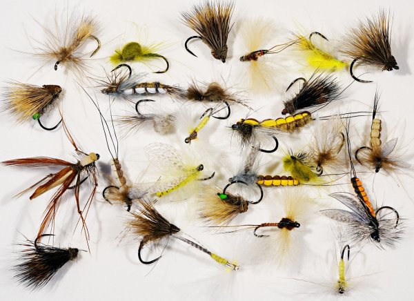 Flugor från @dirtybugzzz