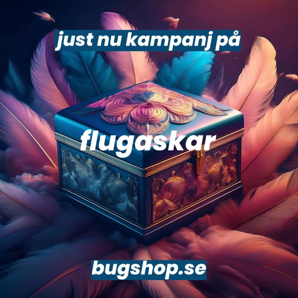 Kampanj på flugaskar