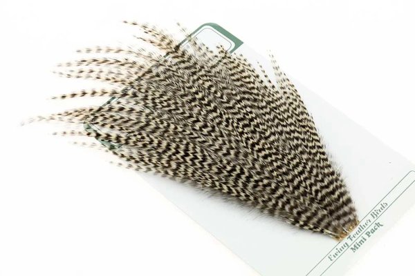 Zoom bild av Ewing Dry Fly Mini Pack