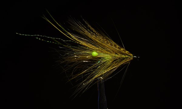 Zoom bild av Shrimp Green UV