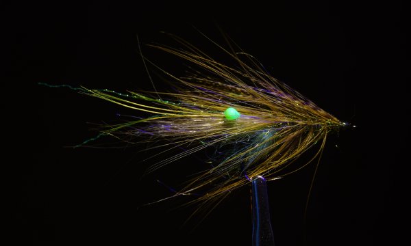 Zoom bild av Shrimp Green UV