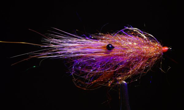 Zoom bild av Shaggy Shrimp