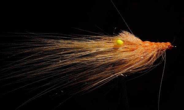 Zoom bild av Pattegrisen Lime UV