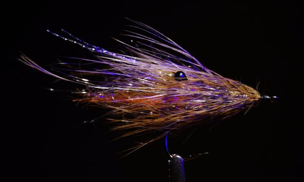 Zoom bild av CDL Shrimp