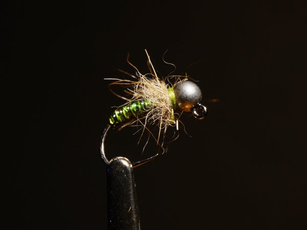 Zoom bild av Green Caddis Larvae
