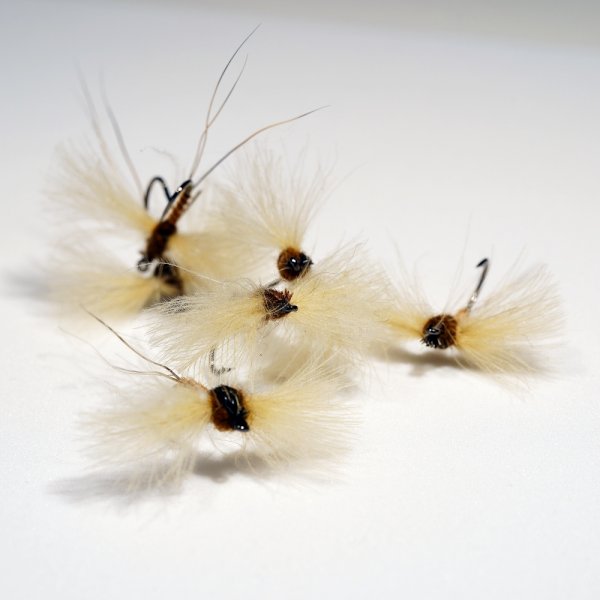 Zoom bild av CDC Spent Spinner