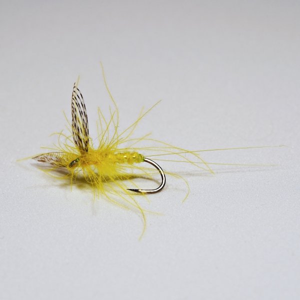 Zoom bild av Gul Forsslända CDC