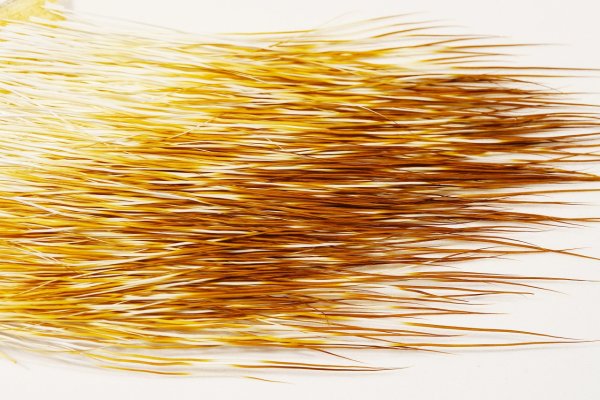 Zoom bild av The Happy Javelina Peccary