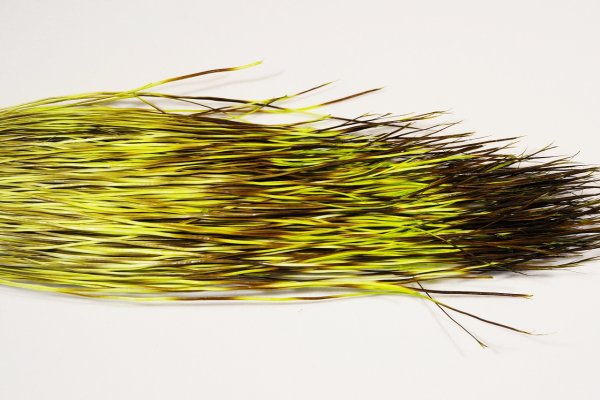 Zoom bild av The Happy Javelina Peccary