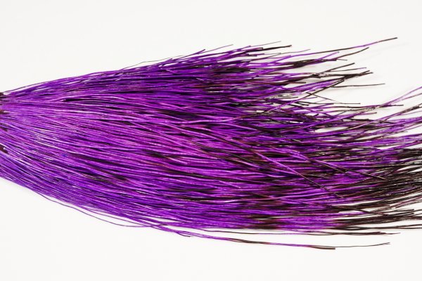 Zoom bild av The Happy Javelina Peccary