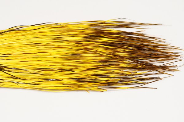 Zoom bild av The Happy Javelina Peccary