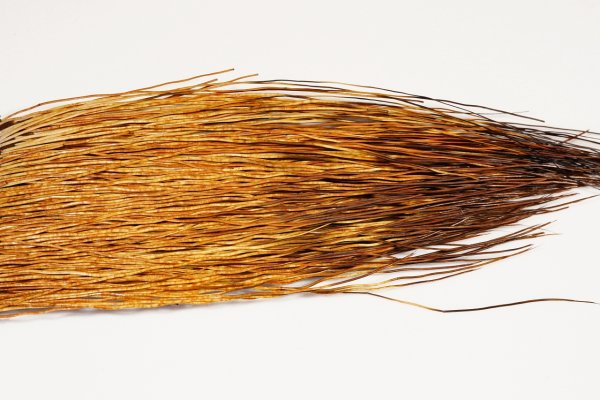 Zoom bild av The Happy Javelina Peccary