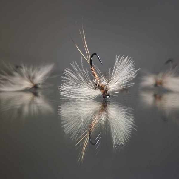 Zoom bild av CDC Mayfly Spent
