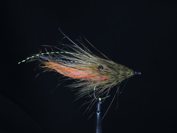 Zoom bild av CDL Shrimp