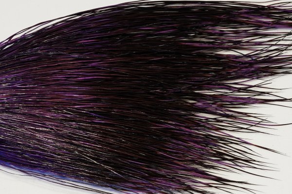 Zoom bild av The Happy Javelina Peccary