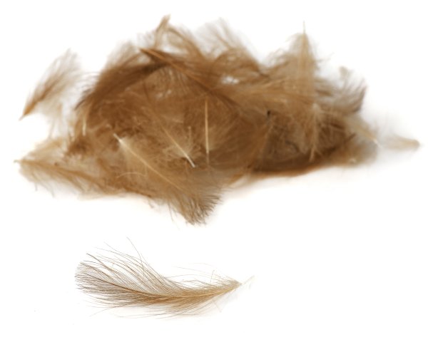 Zoom bild av Fly-Dressing Hand Selected Premium CDC