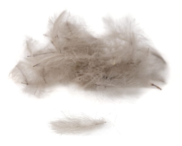 Zoom bild av Fly-Dressing Hand Selected Premium CDC