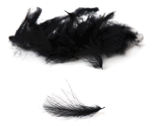 Zoom bild av Fly-Dressing Hand Selected Premium CDC