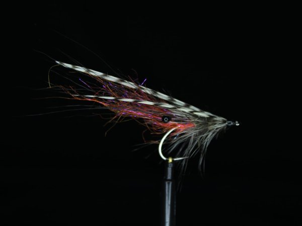 Zoom bild av Grizzly Shrimp