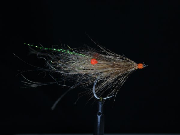 Zoom bild av Hösten Variant