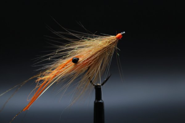 Zoom bild av Hötyven Ginger Orange