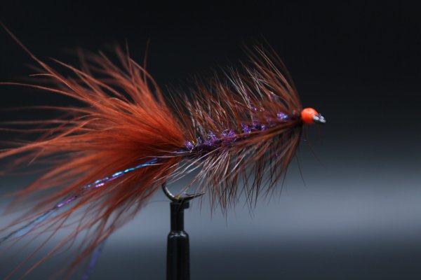 Zoom bild av Borstmasken Hotspot