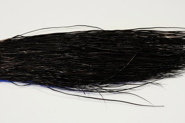 Zoom bild av The Happy Javelina Peccary