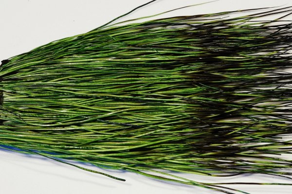 Zoom bild av The Happy Javelina Peccary