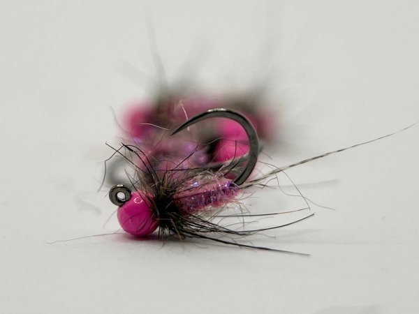 Zoom bild av Mallard Tail Pink