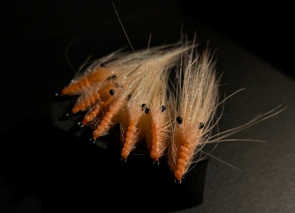 Zoom bild av Pattegrisen