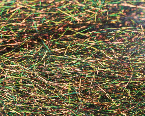 Zoom bild av Sybai Mobile Flash Hair