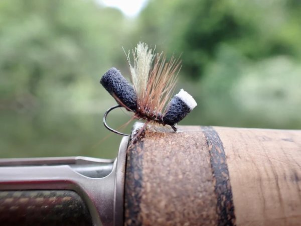 Zoom bild av Upavon Foam Ant Bodies