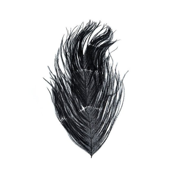 Zoom bild av Wapsi Ostrich Herl