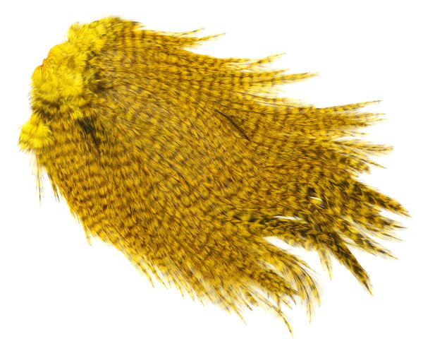 Zoom bild av Whiting Coq de Leon, Bronze Saddle