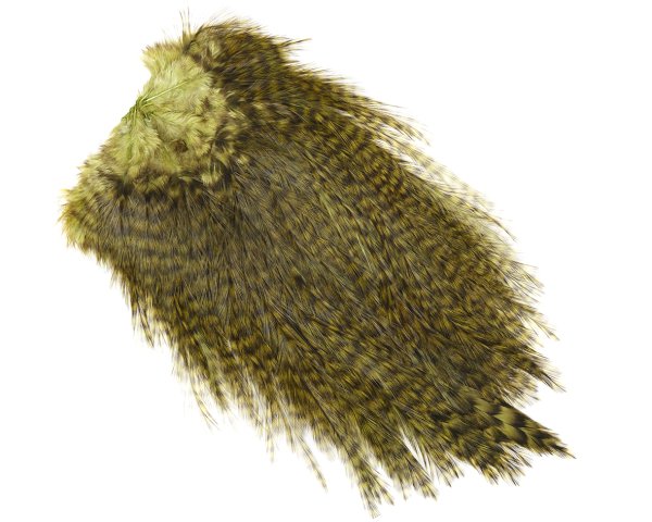 Zoom bild av Whiting Coq de Leon, Bronze Saddle